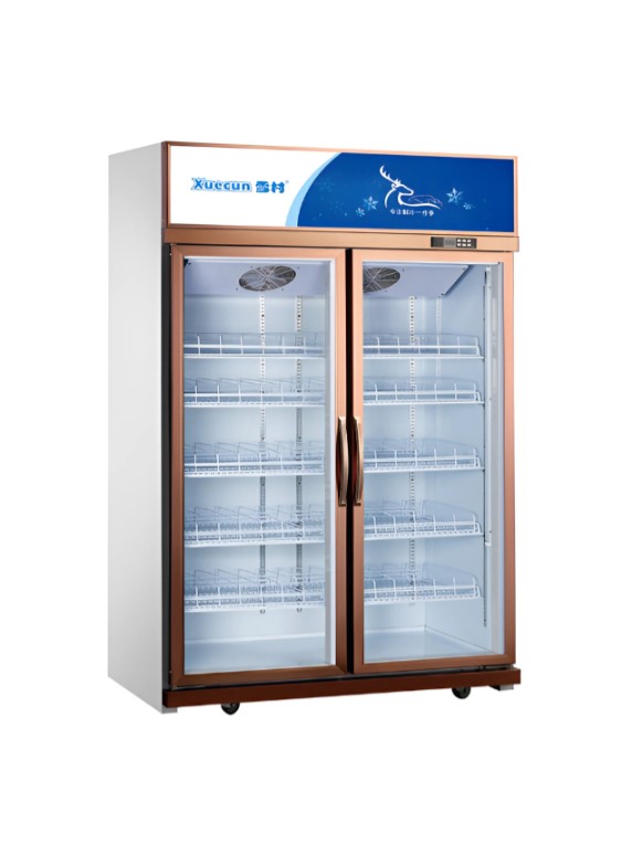 Convenience Store Freezer - Two Opening