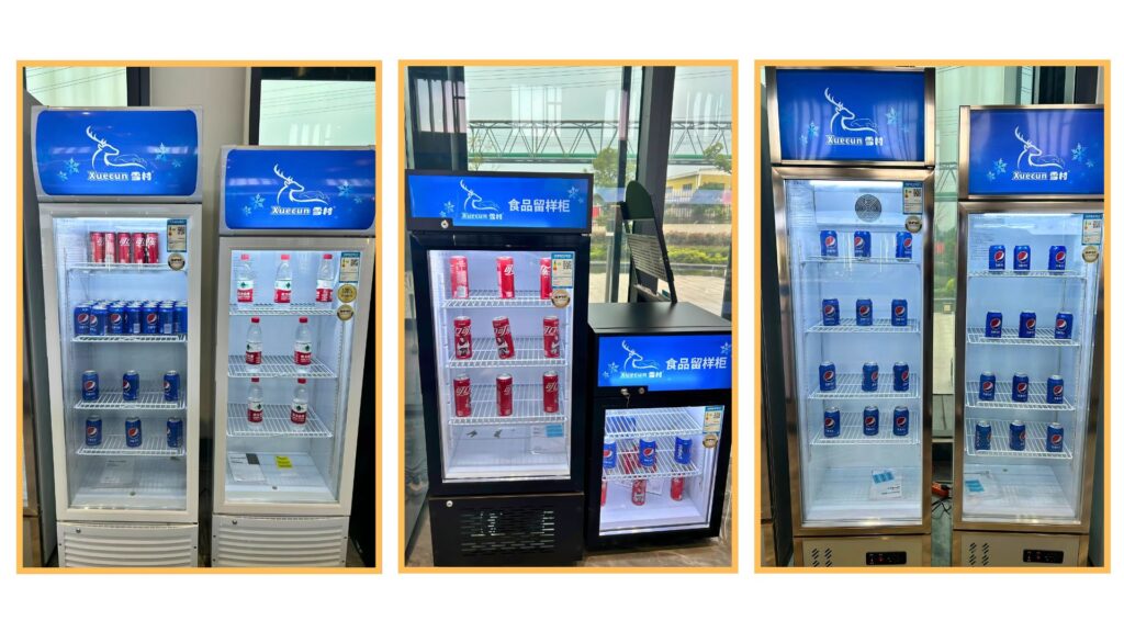 Display Chiller – Choose the Perfect One for Your Kitchen