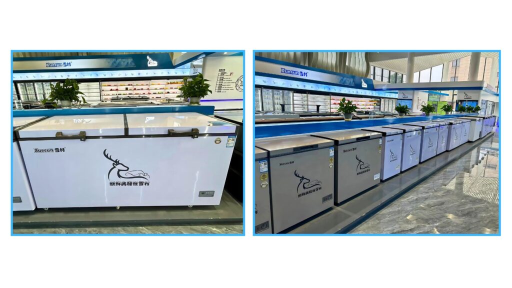 The Definitive Guide to Deep Freezers in Your Business