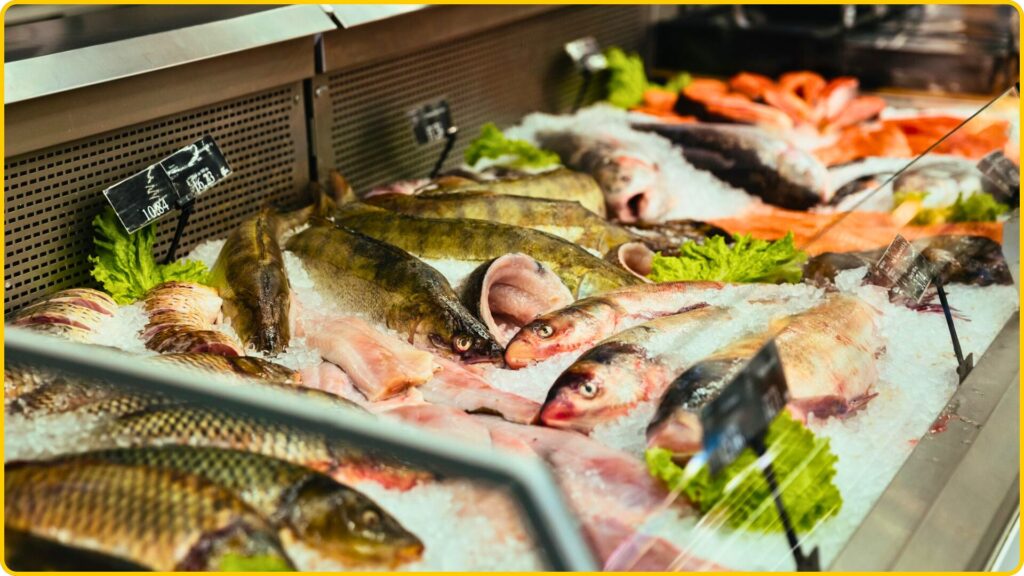 Fish Cabinet The Most Important Guide for Your Business
