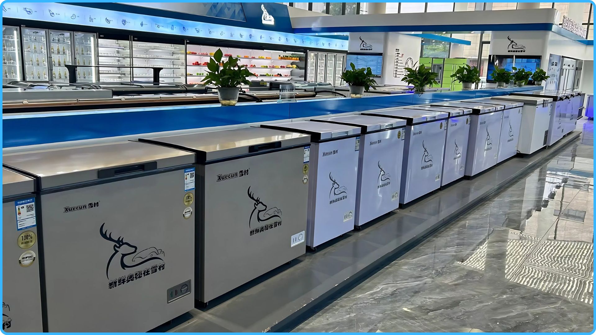 Horizontal Freezer: The Ultimate Guide for Your Business