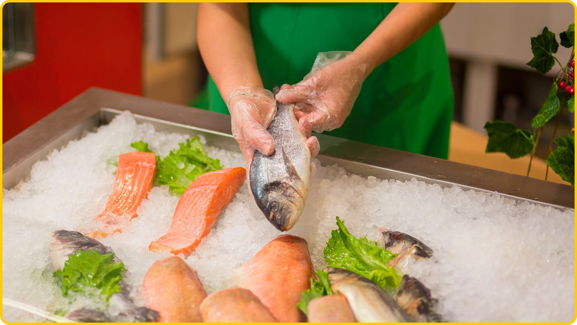 Reasons Why You Should Buy a Fish Cabinet