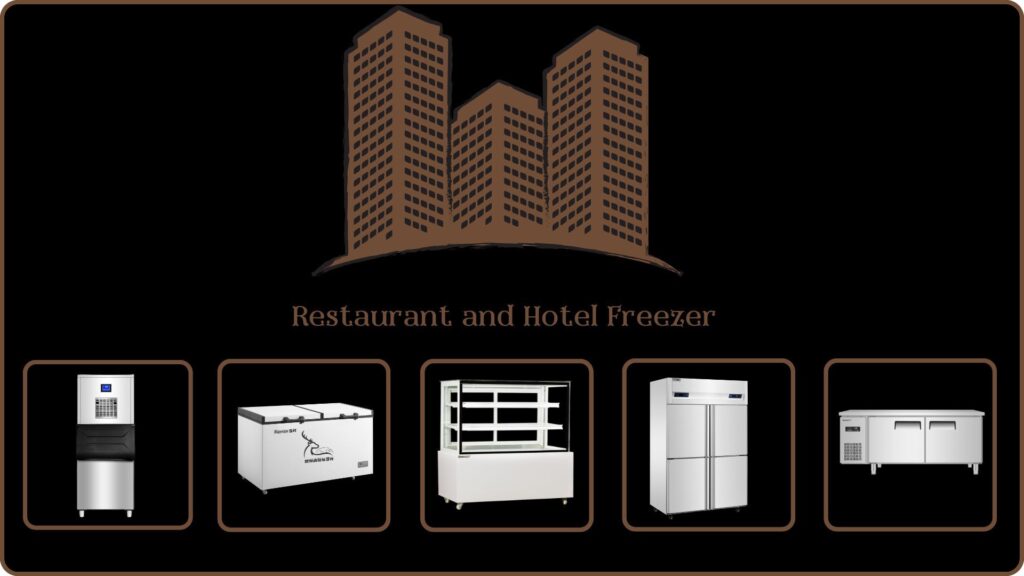 Restaurant and Hotel Freezer