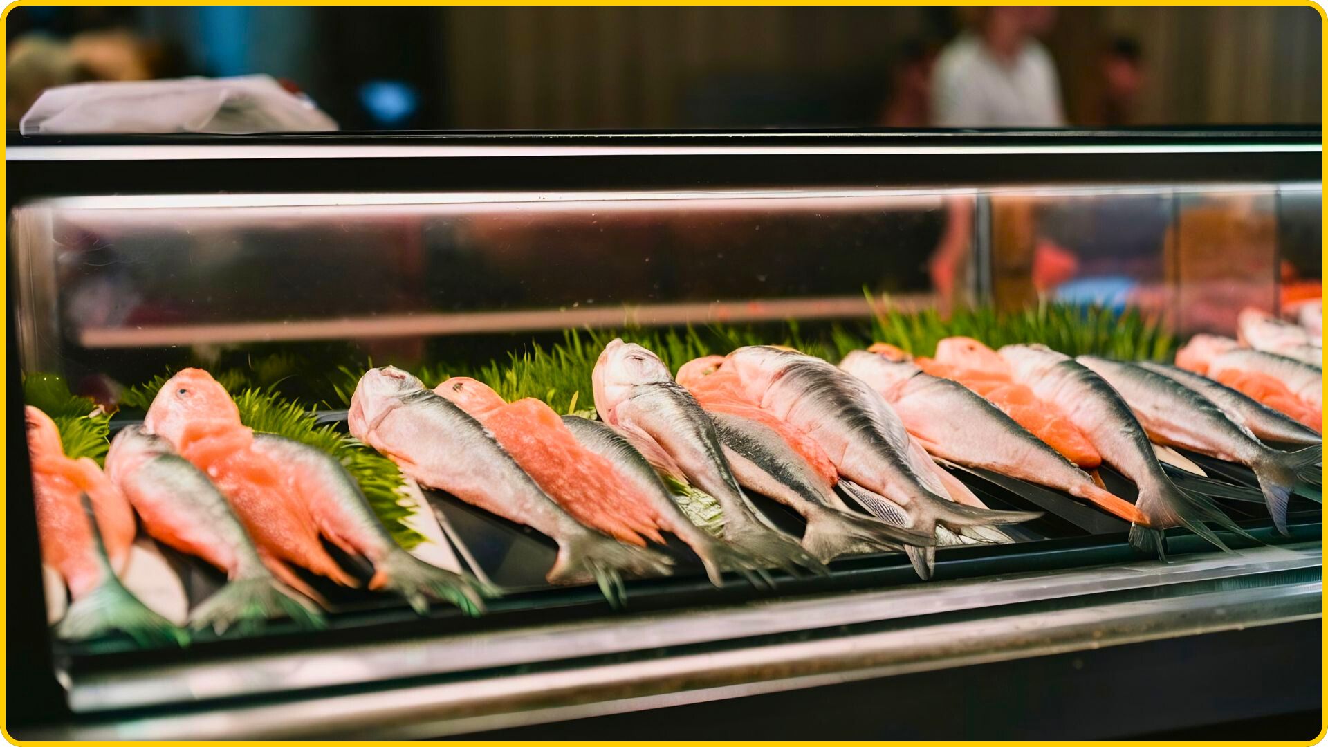 What Is The Need For A Fish Cabinet In Your Commercial Kitchen