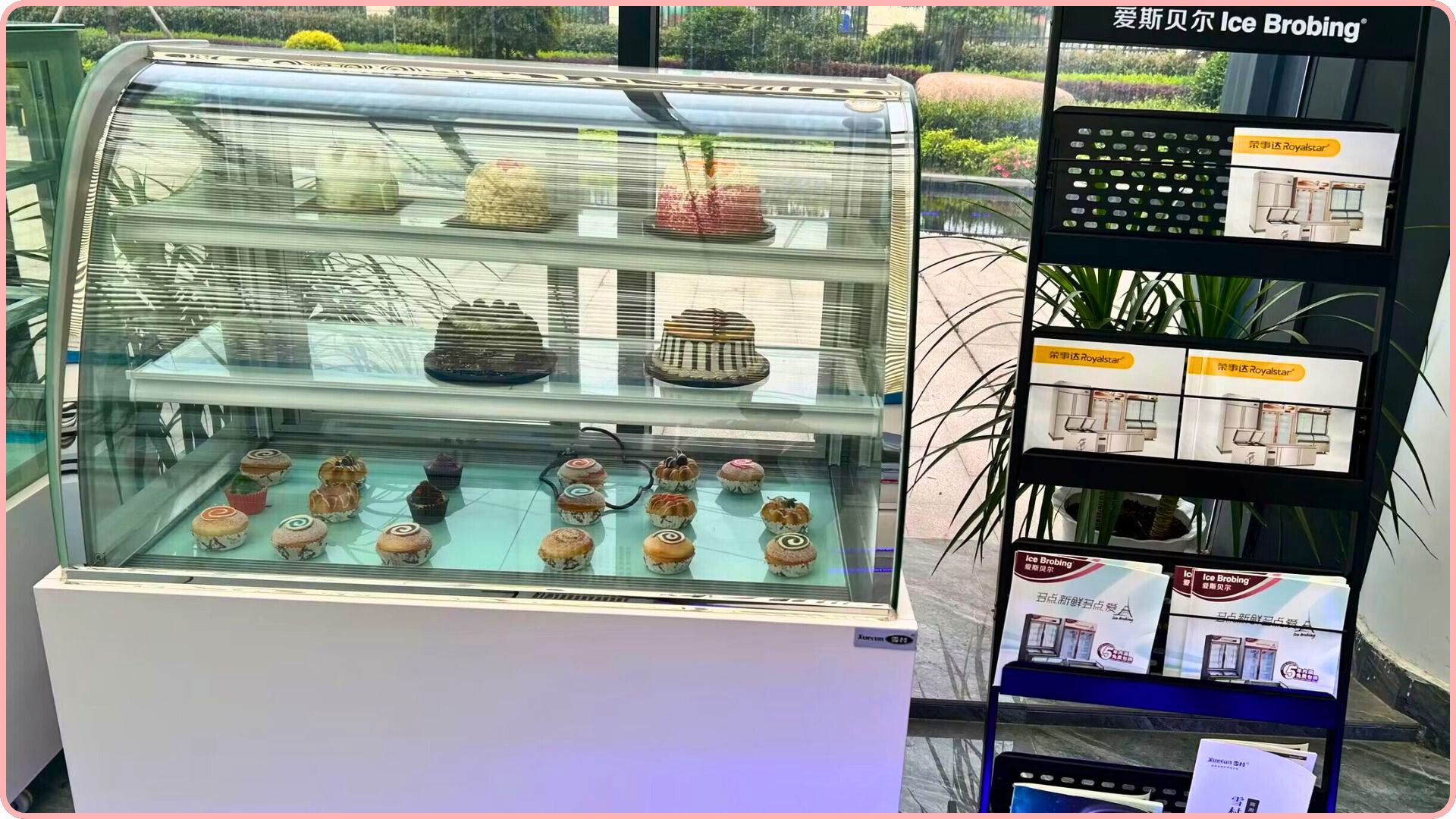 Why A Cake Cabinet is a Must for Your Bakery or Café
